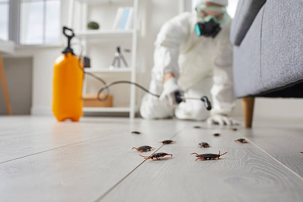 Trusted Cockroach Control service in Eagle, NE - Nex Pest Control