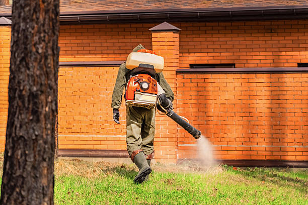 Trusted Mosquito Control service in Eagle, NE - Nex Pest Control
